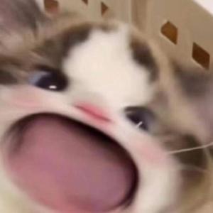 日本丰满巨乳美女和黑人乱搞
